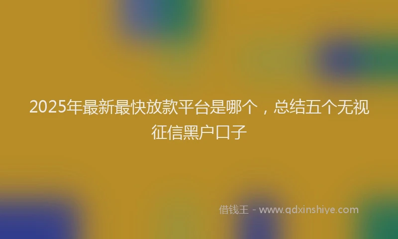 2025年最新最快放款平台是哪个，总结五个无视征信黑户口子
