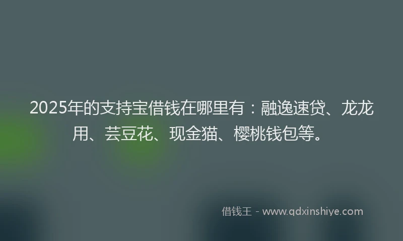 2025年的支持宝借钱在哪里有：融逸速贷、龙龙用、芸豆花、现金猫、樱桃钱包等。