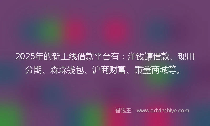 2025年的新上线借款平台有：洋钱罐借款、现用分期、森森钱包、沪商财富、秉鑫商城等。