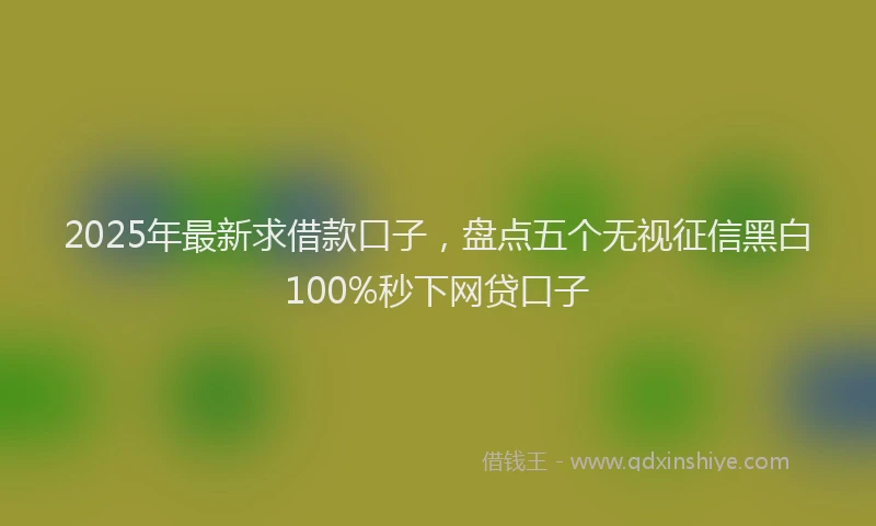 2025年最新求借款口子，盘点五个无视征信黑白100%秒下网贷口子
