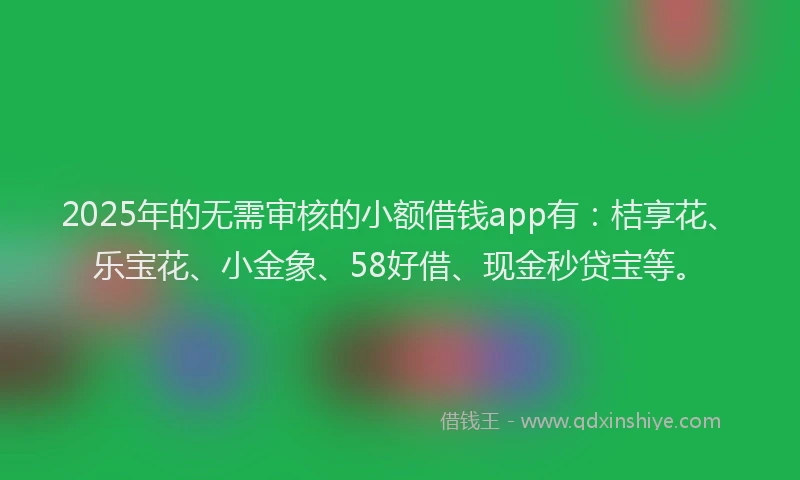2025年的无需审核的小额借钱app有：桔享花、乐宝花、小金象、58好借、现金秒贷宝等。