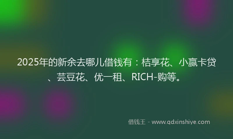 2025年的新余去哪儿借钱有：桔享花、小赢卡贷、芸豆花、优一租、RICH-购等。