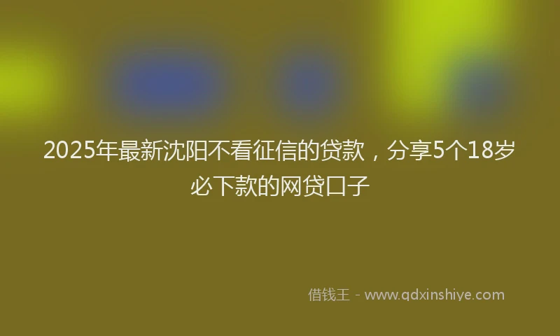 2025年最新沈阳不看征信的贷款，分享5个18岁必下款的网贷口子