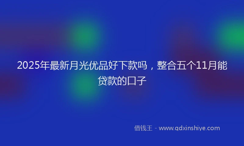 2025年最新月光优品好下款吗，整合五个11月能贷款的口子