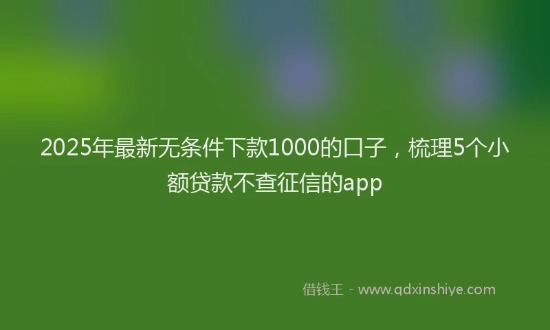 2025年最新无条件下款1000的口子，梳理5个小额贷款不查征信的app