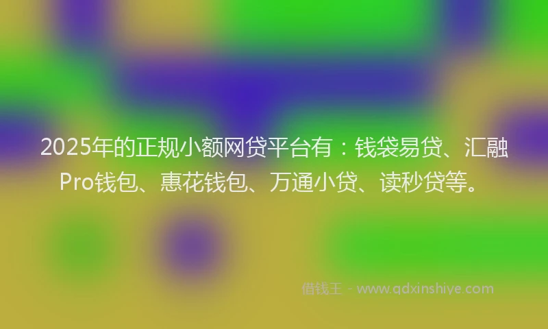 2025年的正规小额网贷平台有：钱袋易贷、汇融Pro钱包、惠花钱包、万通小贷、读秒贷等。