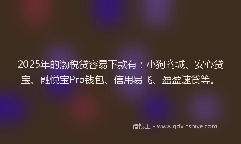 2025年的渤税贷容易下款有：小狗商城、安心贷宝、融悦宝Pro钱包、信用易飞、盈盈速贷等。