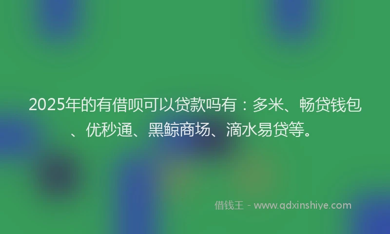 2025年的有借呗可以贷款吗有：多米、畅贷钱包、优秒通、黑鲸商场、滴水易贷等。