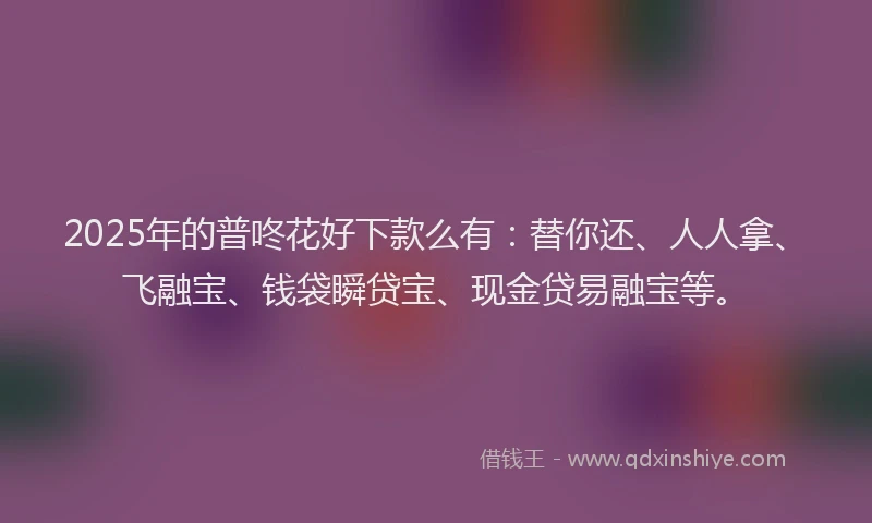 2025年的普咚花好下款么有：替你还、人人拿、飞融宝、钱袋瞬贷宝、现金贷易融宝等。
