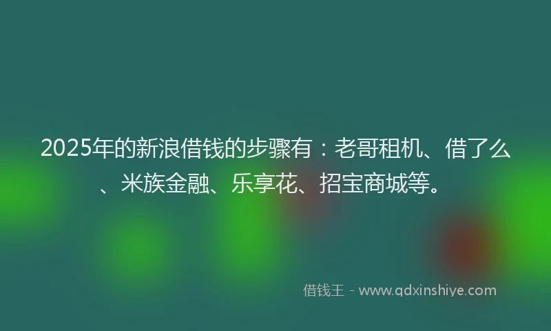 2025年的新浪借钱的步骤有：老哥租机、借了么、米族金融、乐享花、招宝商城等。