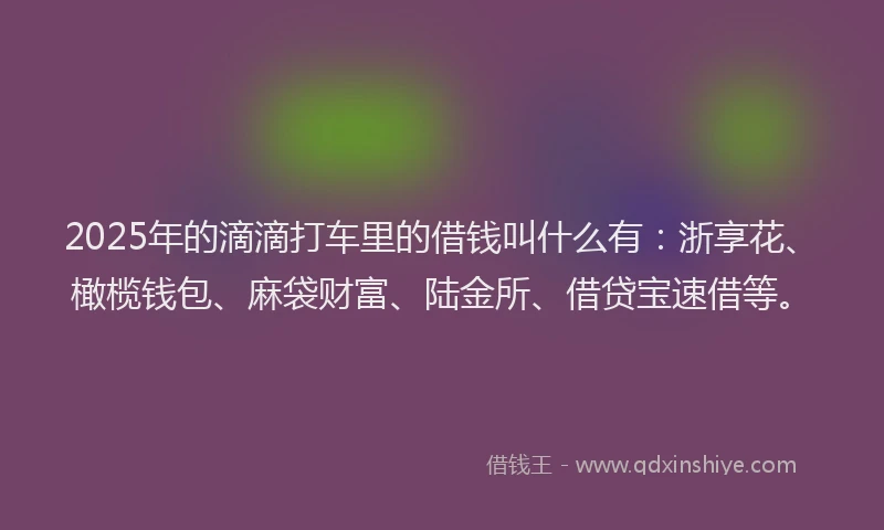 2025年的滴滴打车里的借钱叫什么有：浙享花、橄榄钱包、麻袋财富、陆金所、借贷宝速借等。