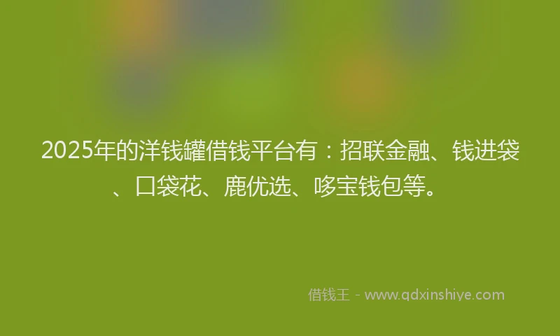 2025年的洋钱罐借钱平台有：招联金融、钱进袋、口袋花、鹿优选、哆宝钱包等。