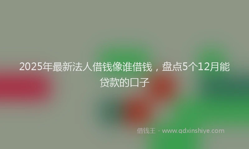 2025年最新法人借钱像谁借钱，盘点5个12月能贷款的口子
