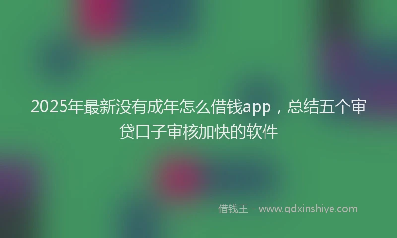 2025年最新没有成年怎么借钱app，总结五个审贷口子审核加快的软件