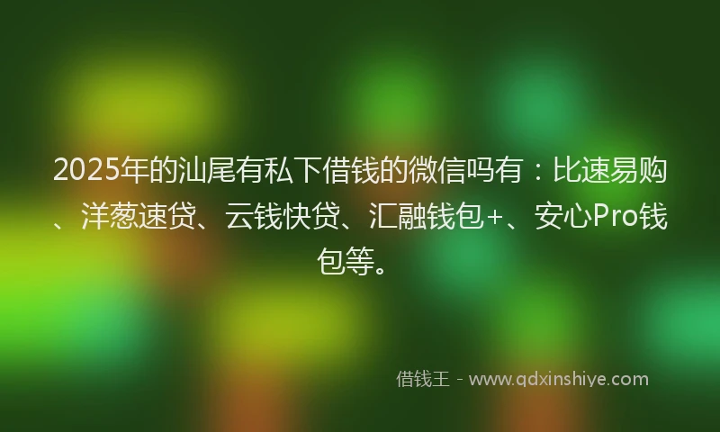 2025年的汕尾有私下借钱的微信吗有：比速易购、洋葱速贷、云钱快贷、汇融钱包+、安心Pro钱包等。
