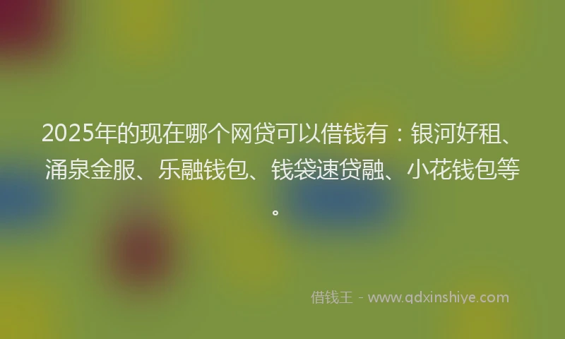 2025年的现在哪个网贷可以借钱有：银河好租、涌泉金服、乐融钱包、钱袋速贷融、小花钱包等。