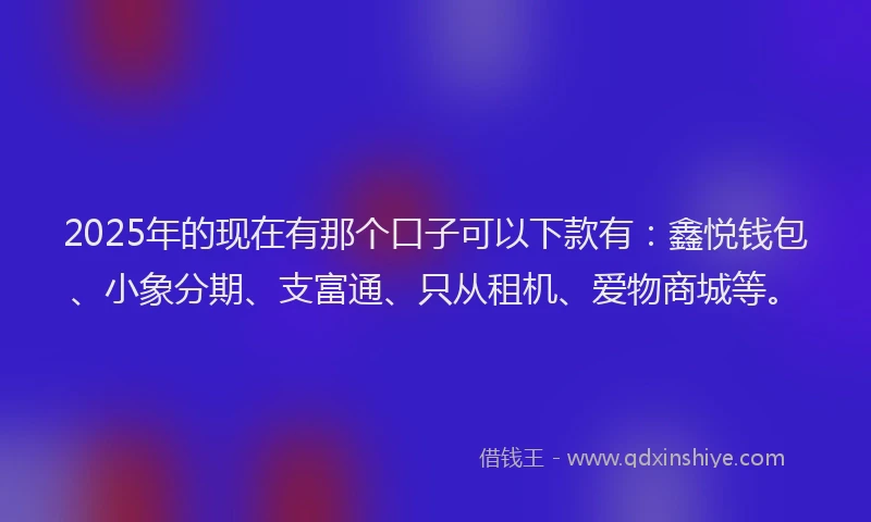2025年的现在有那个口子可以下款有：鑫悦钱包、小象分期、支富通、只从租机、爱物商城等。