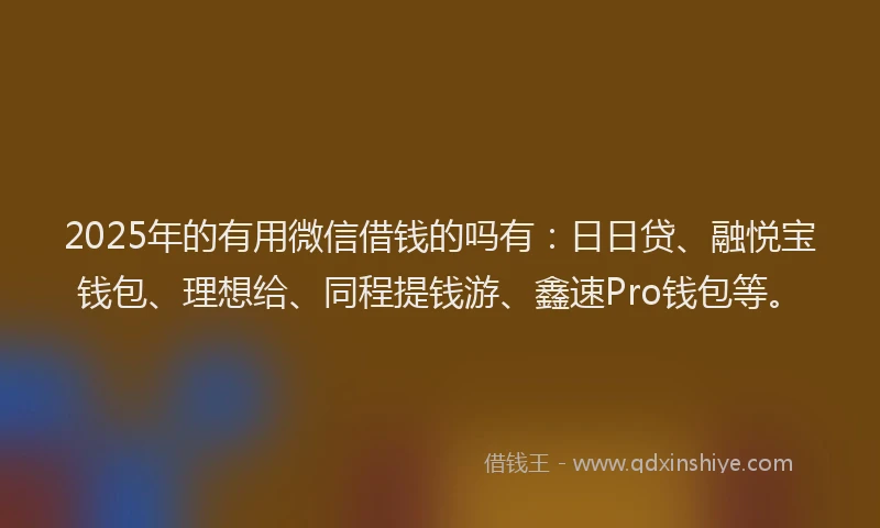 2025年的有用微信借钱的吗有：日日贷、融悦宝钱包、理想给、同程提钱游、鑫速Pro钱包等。