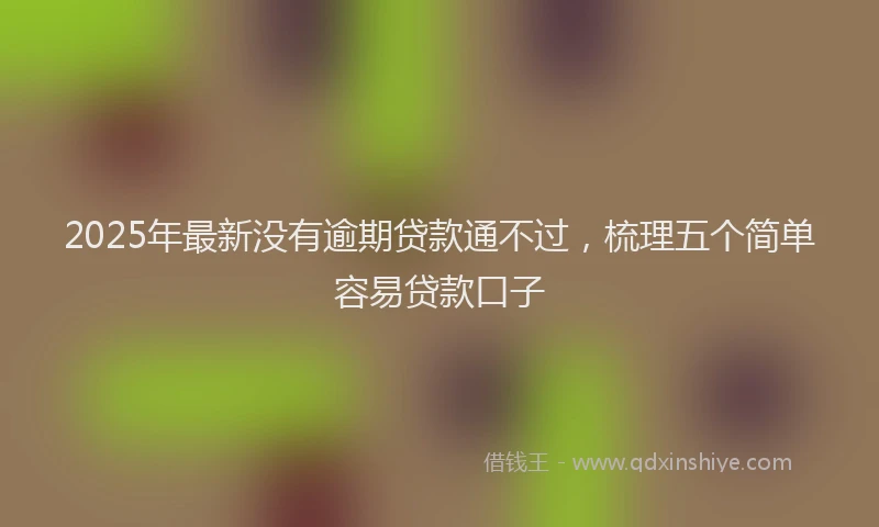 2025年最新没有逾期贷款通不过，梳理五个简单容易贷款口子