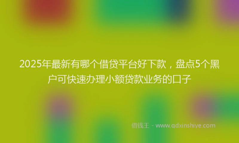 2025年最新有哪个借贷平台好下款，盘点5个黑户可快速办理小额贷款业务的口子
