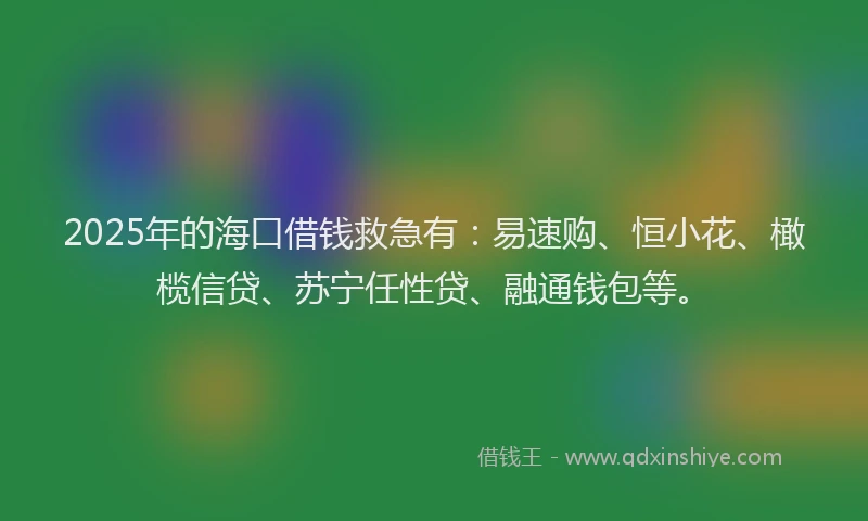 2025年的海口借钱救急有：易速购、恒小花、橄榄信贷、苏宁任性贷、融通钱包等。