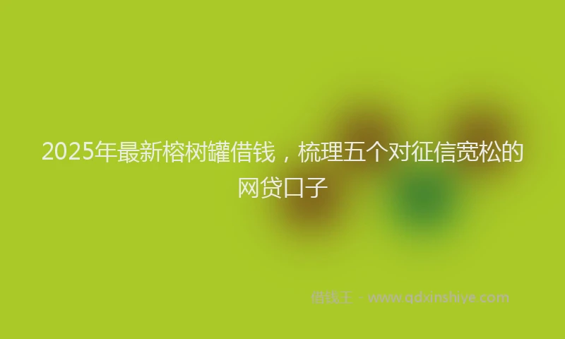 2025年最新榕树罐借钱，梳理五个对征信宽松的网贷口子