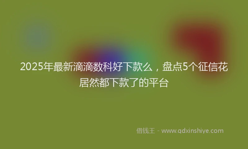 2025年最新滴滴数科好下款么，盘点5个征信花居然都下款了的平台