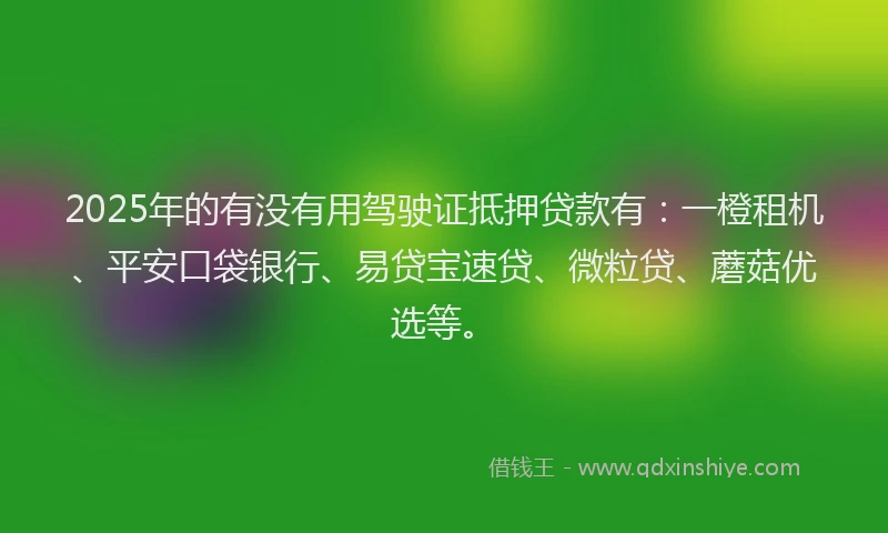 2025年的有没有用驾驶证抵押贷款有：一橙租机、平安口袋银行、易贷宝速贷、微粒贷、蘑菇优选等。