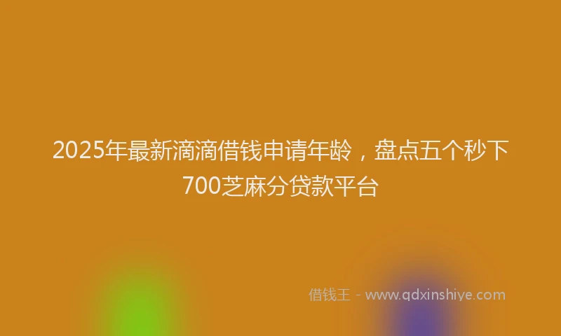 2025年最新滴滴借钱申请年龄，盘点五个秒下700芝麻分贷款平台