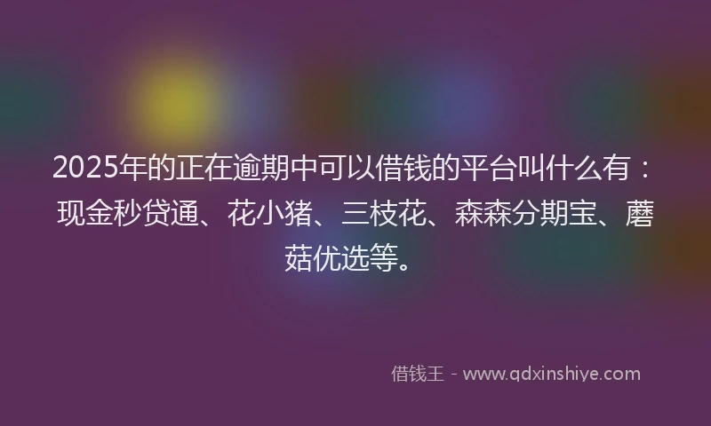 2025年的正在逾期中可以借钱的平台叫什么有：现金秒贷通、花小猪、三枝花、森森分期宝、蘑菇优选等。