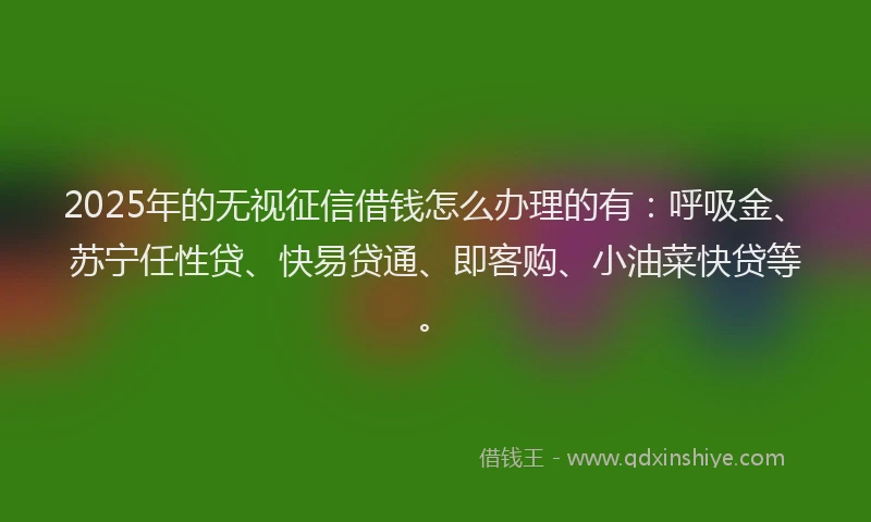 2025年的无视征信借钱怎么办理的有：呼吸金、苏宁任性贷、快易贷通、即客购、小油菜快贷等。