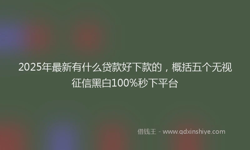 2025年最新有什么贷款好下款的，概括五个无视征信黑白100%秒下平台