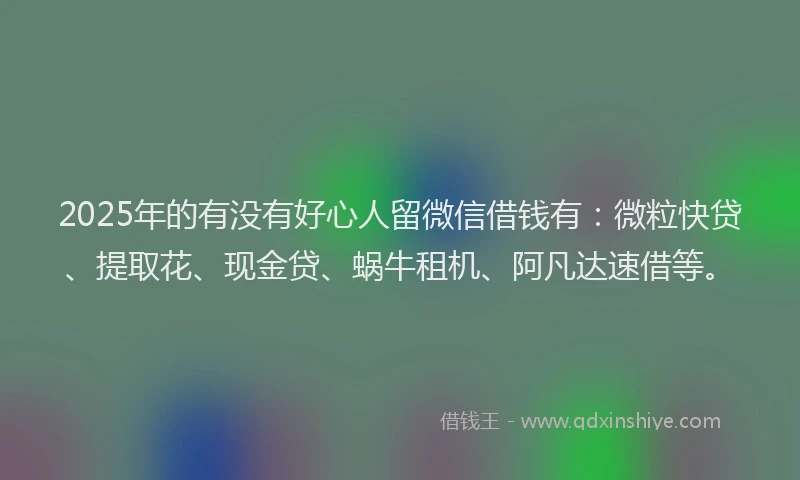 2025年的有没有好心人留微信借钱有：微粒快贷、提取花、现金贷、蜗牛租机、阿凡达速借等。