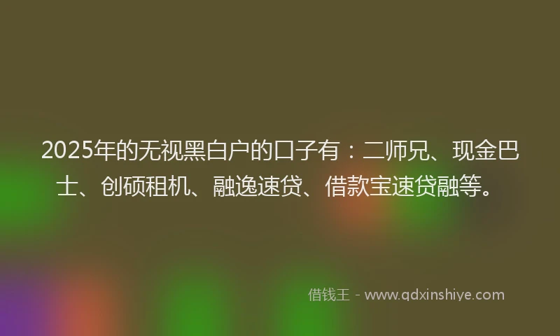 2025年的无视黑白户的口子有：二师兄、现金巴士、创硕租机、融逸速贷、借款宝速贷融等。