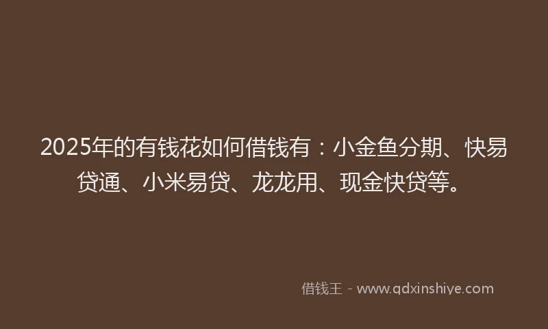 2025年的有钱花如何借钱有：小金鱼分期、快易贷通、小米易贷、龙龙用、现金快贷等。