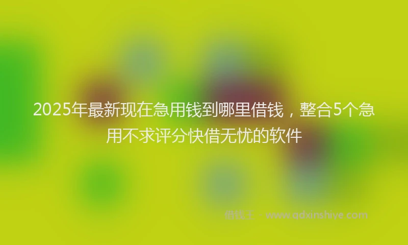 2025年最新现在急用钱到哪里借钱，整合5个急用不求评分快借无忧的软件