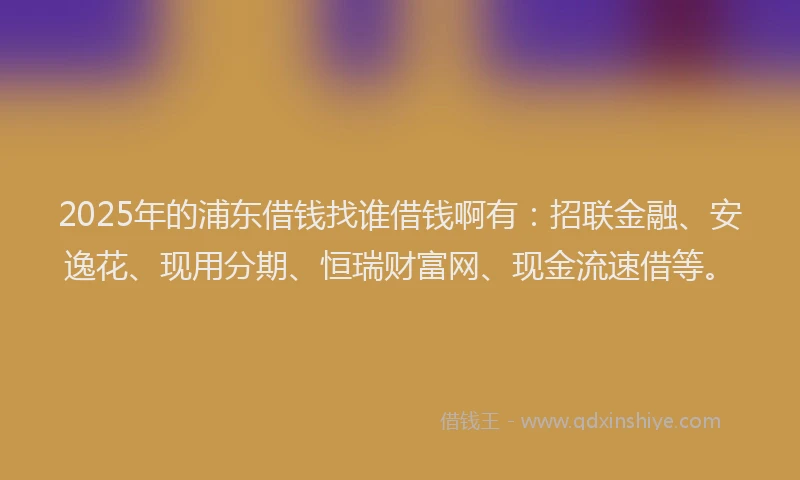 2025年的浦东借钱找谁借钱啊有：招联金融、安逸花、现用分期、恒瑞财富网、现金流速借等。
