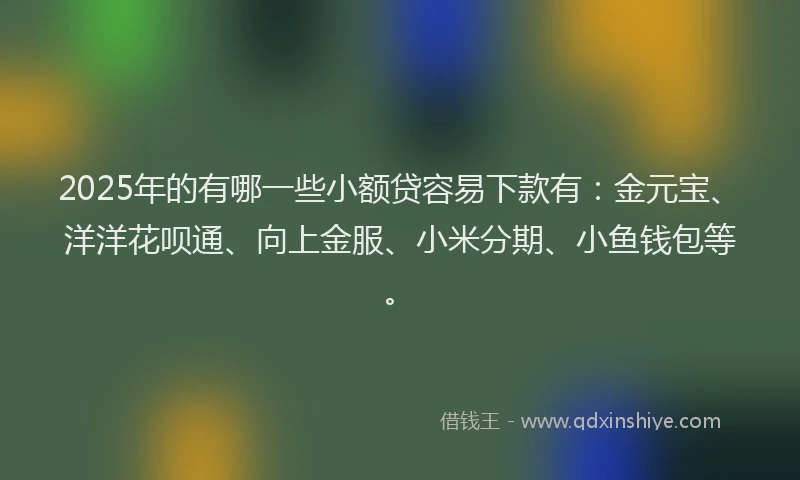 2025年的有哪一些小额贷容易下款有：金元宝、洋洋花呗通、向上金服、小米分期、小鱼钱包等。