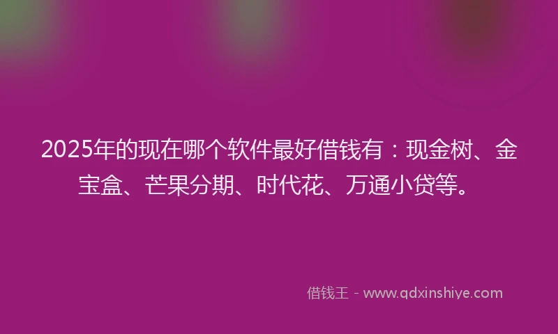 2025年的现在哪个软件最好借钱有：现金树、金宝盒、芒果分期、时代花、万通小贷等。