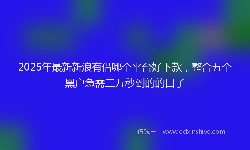 2025年最新新浪有借哪个平台好下款，整合五个黑户急需三万秒到的的口子