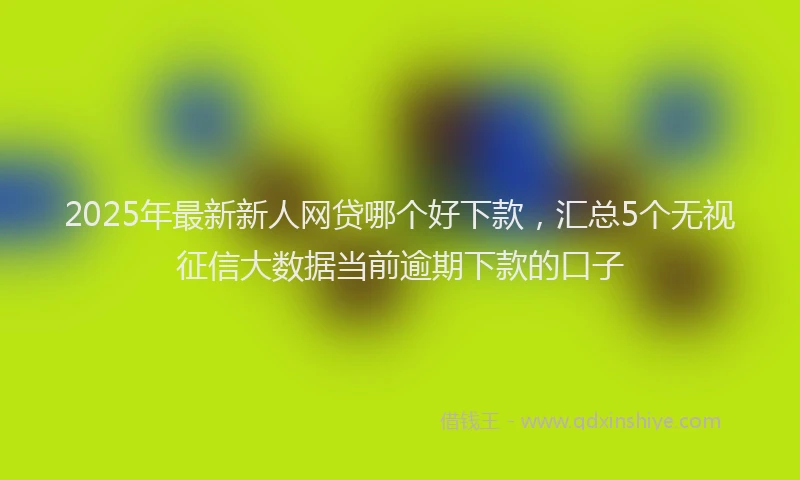 2025年最新新人网贷哪个好下款，汇总5个无视征信大数据当前逾期下款的口子
