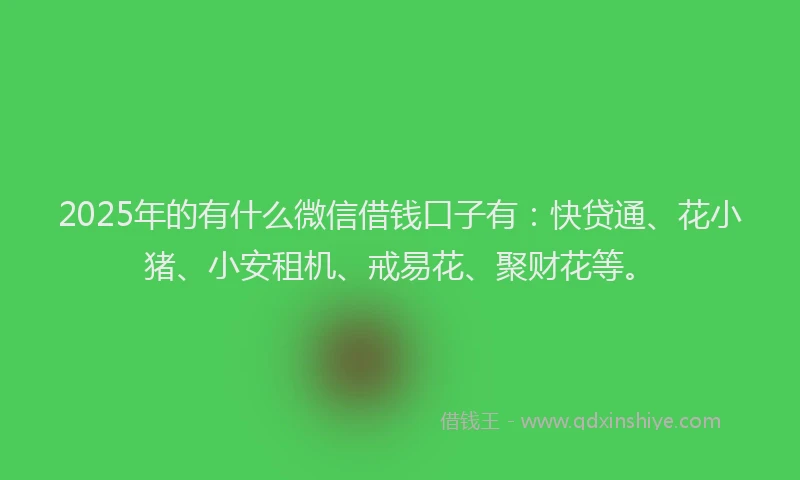 2025年的有什么微信借钱口子有：快贷通、花小猪、小安租机、戒易花、聚财花等。