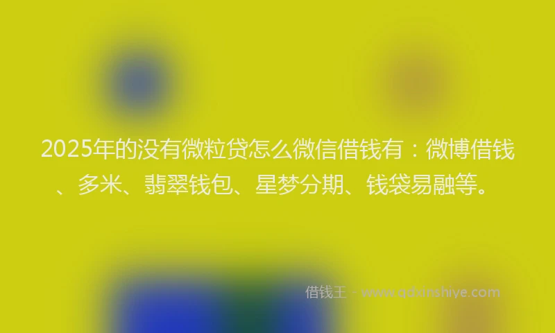 2025年的没有微粒贷怎么微信借钱有：微博借钱、多米、翡翠钱包、星梦分期、钱袋易融等。