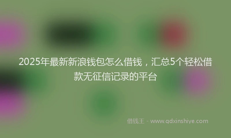 2025年最新新浪钱包怎么借钱，汇总5个轻松借款无征信记录的平台