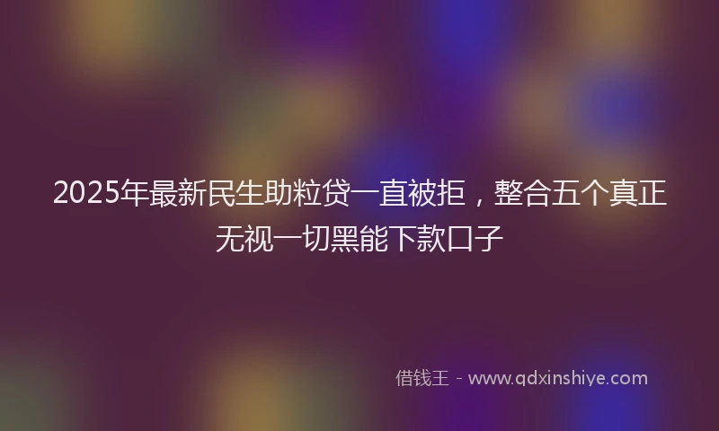 2025年最新民生助粒贷一直被拒，整合五个真正无视一切黑能下款口子