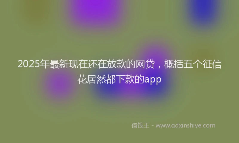 2025年最新现在还在放款的网贷，概括五个征信花居然都下款的app