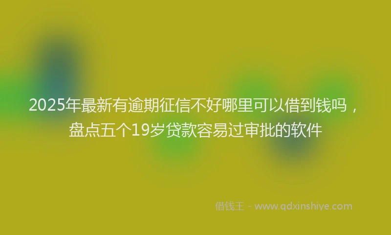 2025年最新有逾期征信不好哪里可以借到钱吗，盘点五个19岁贷款容易过审批的软件