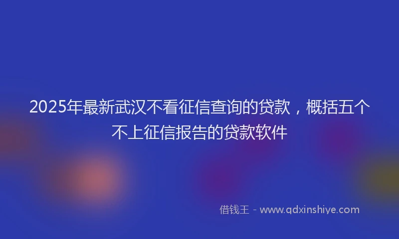 2025年最新武汉不看征信查询的贷款，概括五个不上征信报告的贷款软件