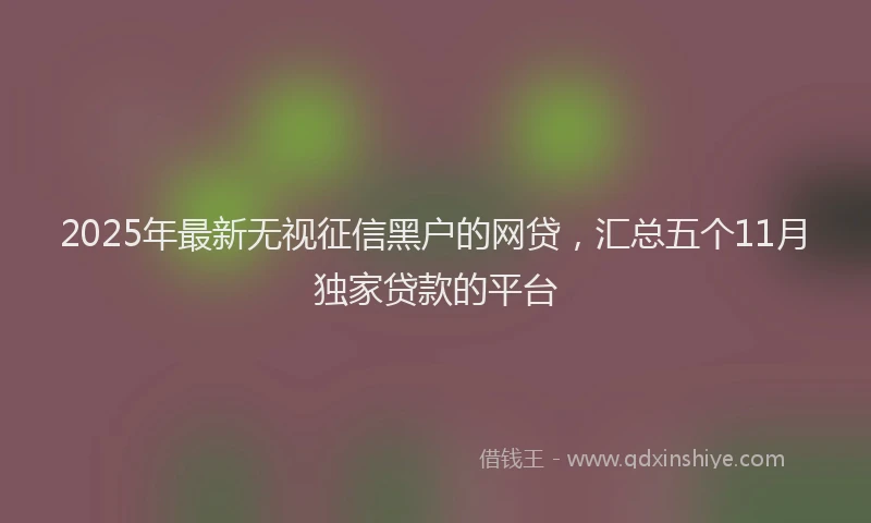 2025年最新无视征信黑户的网贷，汇总五个11月独家贷款的平台