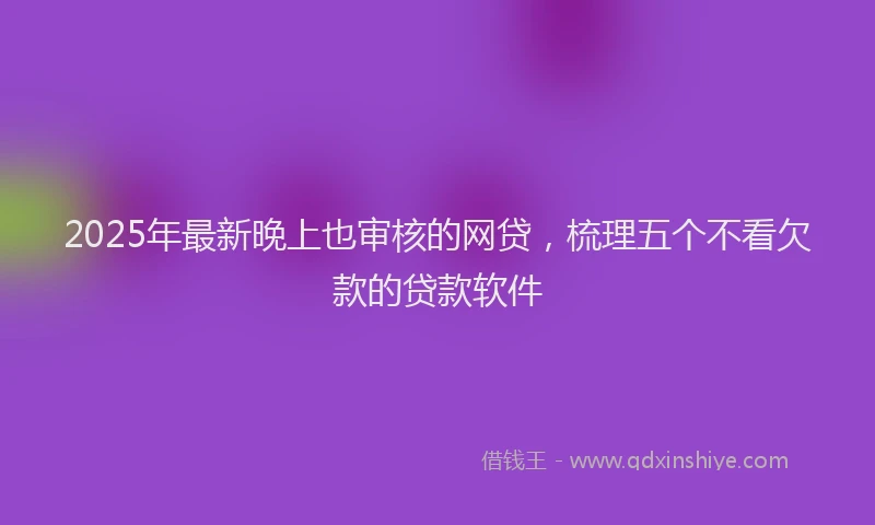 2025年最新晚上也审核的网贷，梳理五个不看欠款的贷款软件
